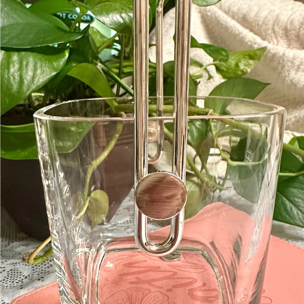Strauss LUIGI BORMIOLI Hand Blown Italian Crystal With Silver Plated Handel MCM